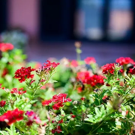 La Lanterna Del Borgo